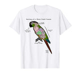 Anatomy of a Green Cheek Conure - Funny Parrot Shirt