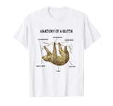 Anatomy Of A Sloth Cute Animal Lover Funny Distressed Shirt