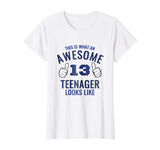 Awesome Teenager Funny 13th Birthday 13 Yrs Old tShirt