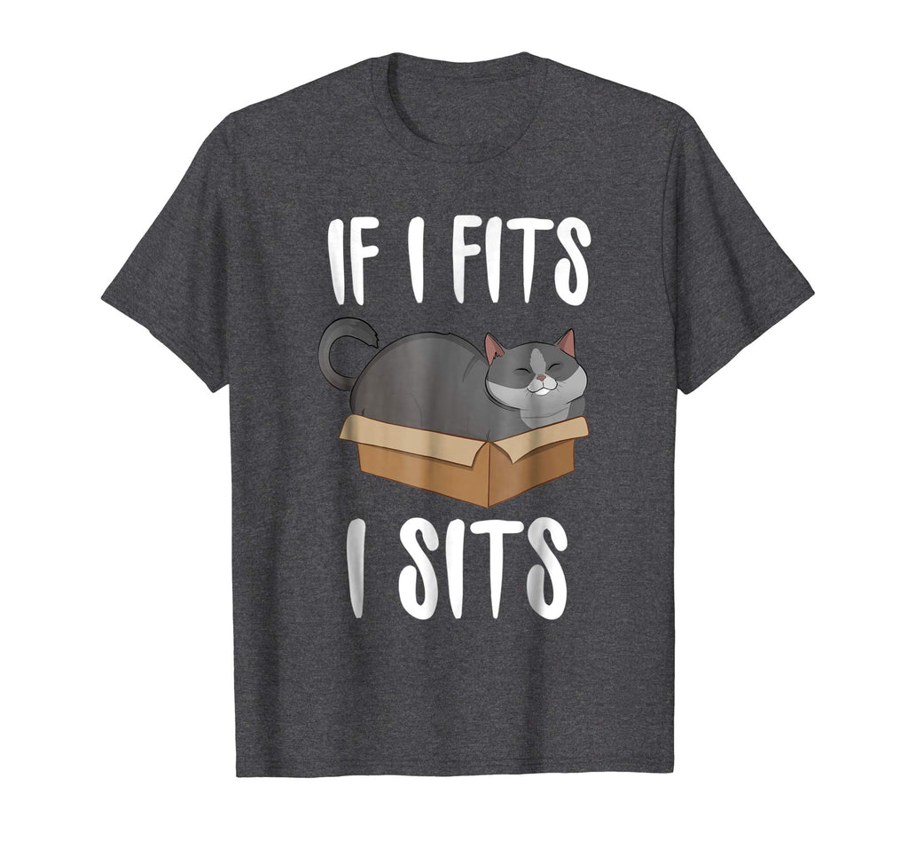 If I Fits I Sits Cat Meme Shirt Funny Cat In A Boxt T-shirt