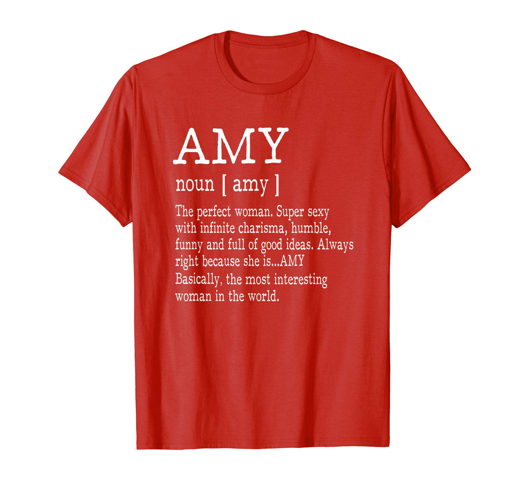 Adult Definition - First Name Amy - Ladies T-Shirt Funny