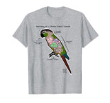 Anatomy of a Green Cheek Conure - Funny Parrot Shirt